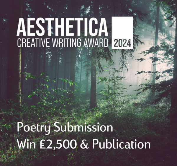 Aesthetica Creative Writing Award Entry Poetry